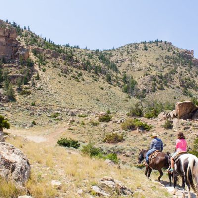 Take A Horseback Tour